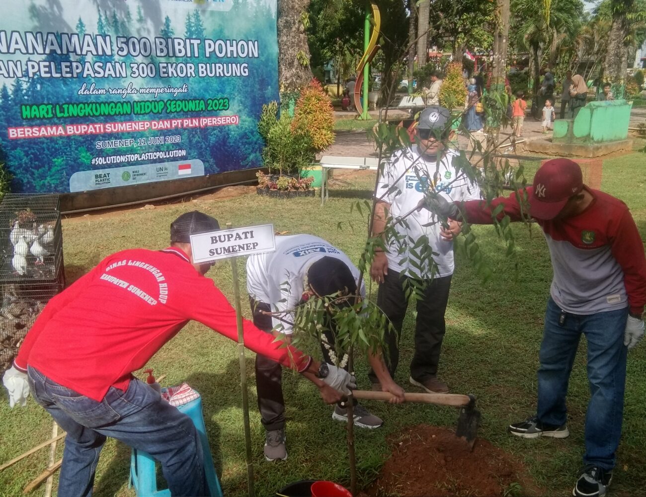 Puncak Hari Lingkungan Hidup Sedunia, DLH Sumenep Gandeng PLN Tanam 500 Bibit Pohon