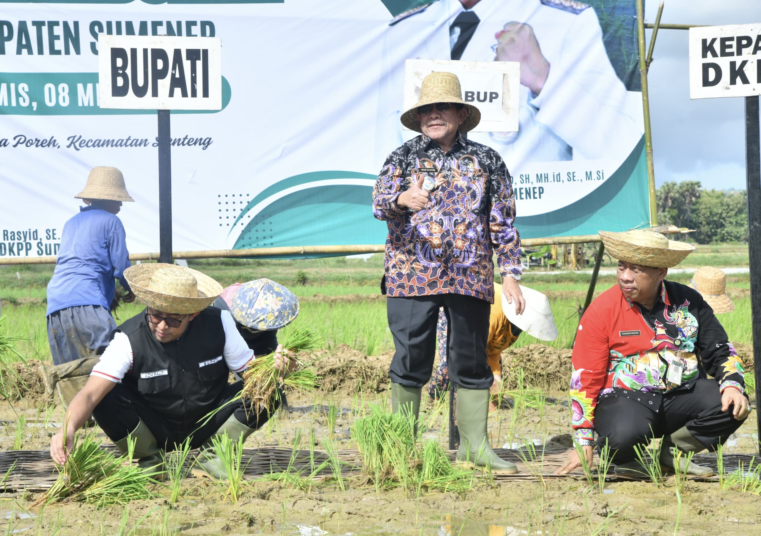 Gerakan Tanam Padi di Desa Poreh, Cara Pemkab Sumenep Perkuat Ketahanan Pangan