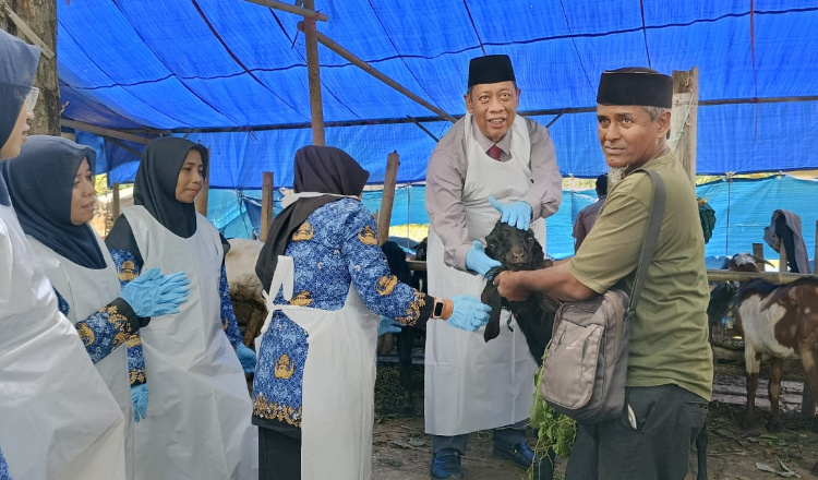 Pastikn Hewan Kurban Sehat dan Aman, DKPP Sumenep Aktif Lakukan Sidak Kesejumlah Lapak Hewan