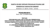Pemkab Sumenep Umumkan Hasil Akhir Seleksi PPPK Tahap II Tahun 2024, 63 Peserta Dinyatakan Lolos