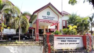 Tiga Tahun Tanpa Anggaran, Budidaya Rumput Laut di Sumenep Terancam Mati Suri