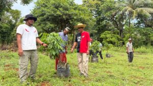 Darul Hasyim Fath Tanam Pohon Kelengkeng di Pulau Masakambing