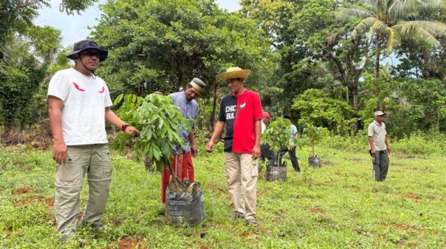 Darul Hasyim Fath Tanam Pohon Kelengkeng di Pulau Masakambing